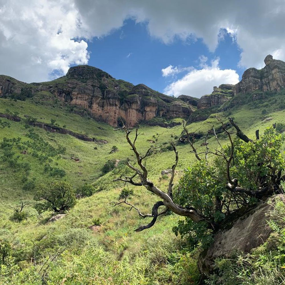 Hluhluwe Imfolozi